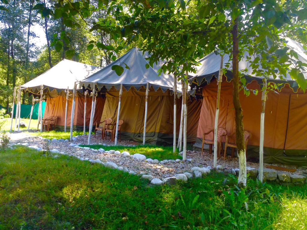 Tent in Kullu